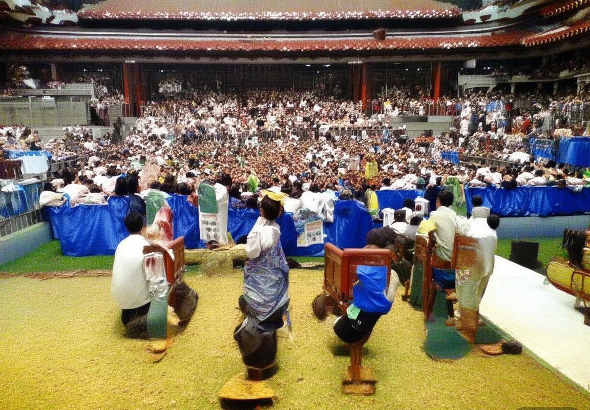 绿茵激战：保加利亚vs捷克威尔士，团队精